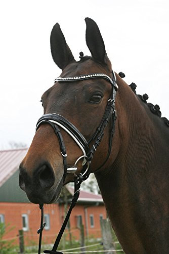 Hans Melzer Horse Equipment Trense Hagen, schwarz/weiß unterlegt, Warmblut