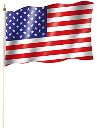 Stockflagge/Stockfahne USA/VEREINIGTE STAATEN Flagge/Fahne ca. 30 x 45 cm mit ca. 60cm Stab/Stock