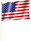 Stockflagge/Stockfahne USA/VEREINIGTE STAATEN Flagge/Fahne ca. 30 x 45 cm mit ca. 60cm Stab/Stock