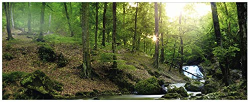 Wallario Glasbild Fließender Bach im Wald bei Sonnenuntergang - 50 x 125 cm Wandbilder Glas in Premium-Qualität: Brillante Farben, freischwebende Optik