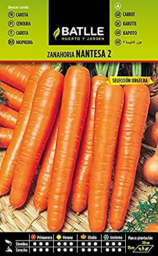 Semillas Batlle Zanahoria NANTESA 2 S. URGELBA