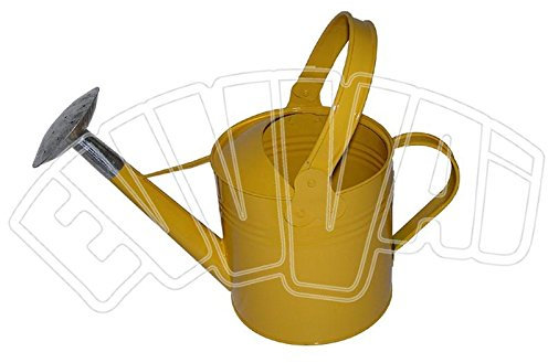 2,5 Lt Regadera de zinc barnizado