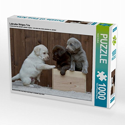 CALVENDO Puzzle Labrador Welpen Trio | 1000 Teile Lege-Größe 64 x 48 cm Foto-Puzzle für glückliche Stunden
