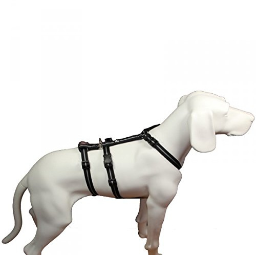 Feltmann NoExit Hundegeschirr® - ausbruchssicher, Panikgeschirr, schwarz Streifen, Bauchumfang 50-65 cm, 20 mm Bandbreite