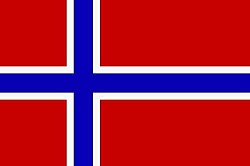 U24 Fahne Flagge Norwegen 60 x 90 cm