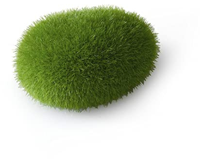 Europet Bernina 234-426470 Aquariendekoration, Aqua Della Moos Ball, Circa 6 x 4 x 3,5 cm