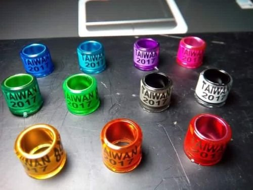 freen-p 500pcs*8mm Customized bandsracing Pigeon Ring Birds Leg with Name Telephone-Green