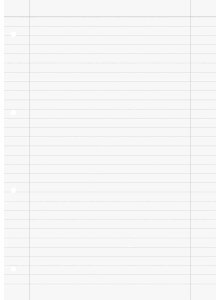 Brunnen Ringbucheinlagen A4 Lineatur 27 50 Blatt