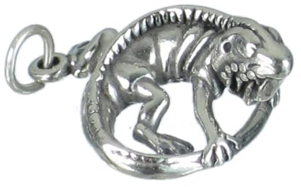 Leguan Bartagamen Sterling Silber Charm 3D .925 x 1 Eidechsen Charms
