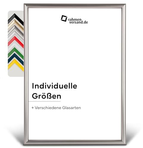 PANORAHMA BILDERRAHMEN Kunststoff Bilderrahmen 21 x 29,7 cm (DIN A4), Platin/Bilder Rahmen zum Aufhängen/Kunststoff Rahmen mit Echtglas