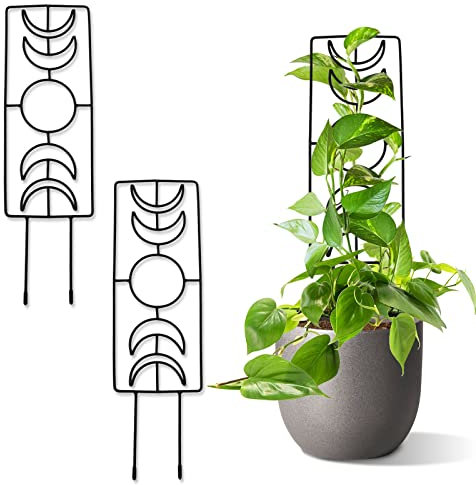 Treillis de phases de la lune pour plantes d'intérieur, plantes grimpantes en pot, treillis métallique pour pot de fleurs d'intérieur