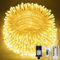 RJEDL Lichterkette Aussen,60+5M 600 Led Lichterkette Warmweiß mit 8 Modi Fernbedienung Timer und Memory Funktionen, IP44 Wasserdicht für außen und innen Garten Hochzeit Party