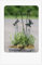 Klangspiel Metall Topfstecker mit Glockenspiel 1 Gartenstecker sortiert,1x Libelle oder 1x Schmetterling