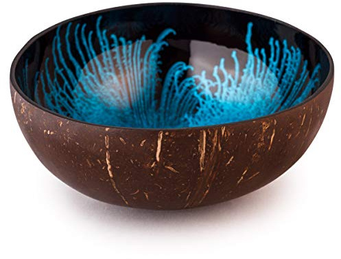 Kaloogo Cocobowl Splash Kokosnuss Deko Schale (blau, poliert)