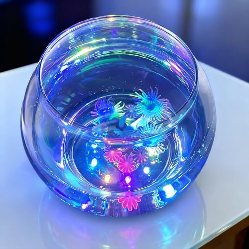 hygger Bol à poisson en verre avec lumière LED et décoration, petit aquarium rond transparent incassable pour aquarium/vase/terrarium de plantes hydroponiques, jolis centres de table