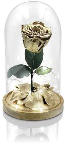 Aluisi Fiori - Rosa La Bella e La Bestia Oro - Campana di Vetro - Base in Legno Naturale - con LED