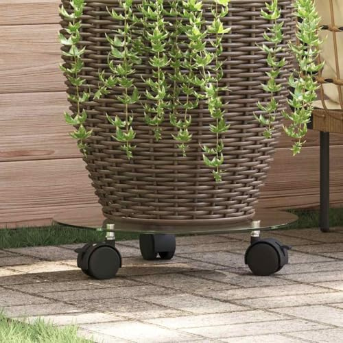 Générique Porte-Plantes Roulant 2 pcs Verre trempé 28 cm Rond,Jardinage,Supports pour Plantes,245691