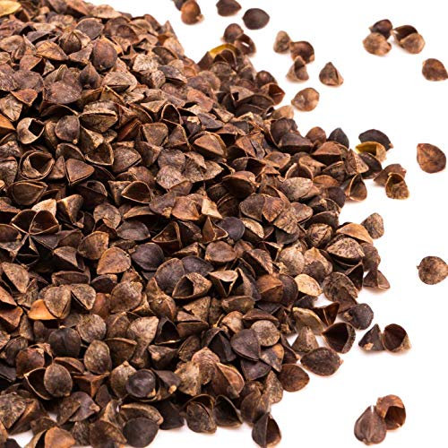 #DoYourYoga Cáscara de Trigo Sarraceno Orgánico para Rellenar - Ideal para Relleno de Puffs, Almohadas y Cojines de 1 kg a 30 kg - Cultivo Ecológico y Libre de Sustancias Nocivas - 5 kg