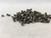 Roundleaf Chastetree|Man Jing Zhi|蔓荆子|Shrub Chastetree Fruit