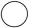 Guarnizione P61214 Superiore O-Ring di Ricambio per Pompa Filtro, Compatibile con Modelli Bestway 58366, 58486, 58495, 58497, 58498, 58499, 58500