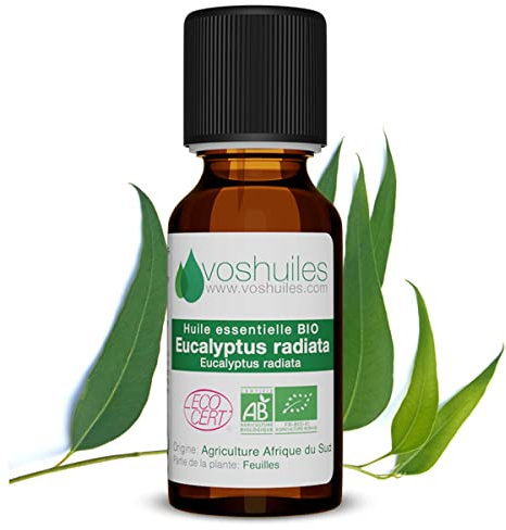 Voshuiles - Huile Essentielle Eucalyptus Radiata Bio 20ml - Parfum Frais et Doux - Rafraichissante et Aromatique - Huiles Essentielles de Qualité - 100% Pure et Naturelle - HEBBD et Certifiée ECOCERT