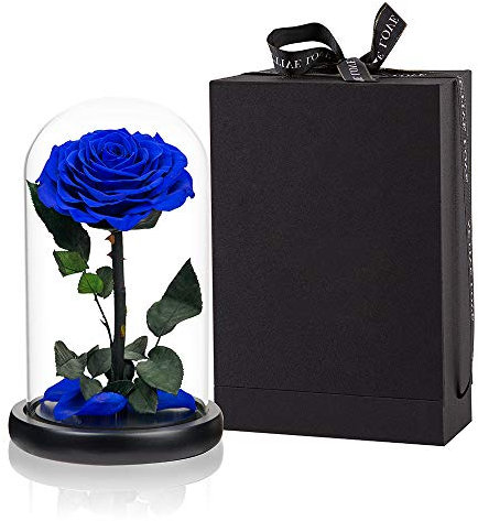Konservierte Rosen, Blaue Rosen, handgefertigt, konservierte Blume, echte Rose in Glaskuppel, Rosengeschenke für sie, Valentinstag, Muttertag, Geburtstag, Weihnachten, Jahrestag (22,9 cm, blau)