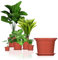 BigDean 3X Blumentopf Ø 40 cm Farbe Terrakotta & Untersetzer Kunststoff Pflanztopf Containertopf Übertopf Pflanzkübel rund 40 x 28 cm Blumentöpfe