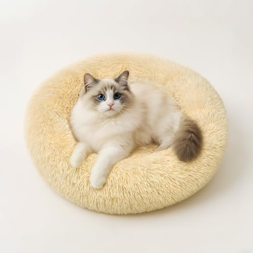 MDDK DY Hundebett Katzenbett - Flauschiges Rundkissen, Waschbar & rutschfest, 50 cm, Ideal für Kleine Hunde und Katzen, Hellbeige
