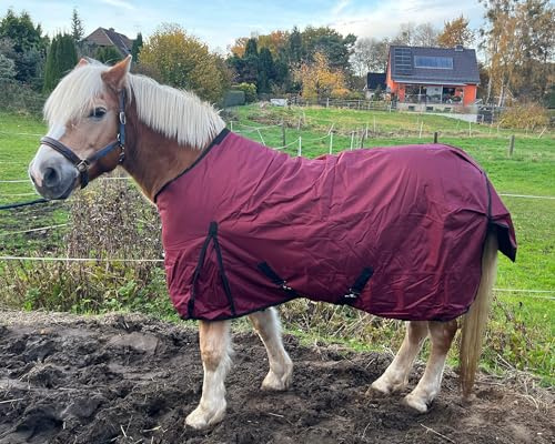Brama-West Winterdecke Pferd Red Winter | Outdoordecke 1680D - 200g | wasserdichte Pferdedecke | Weinrot (145)