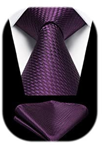 HISDERN Krawatten für Herren Lila Klassisch Hochzeit Krawatten und Einstecktuch Set Formelle Business Elegant Party
