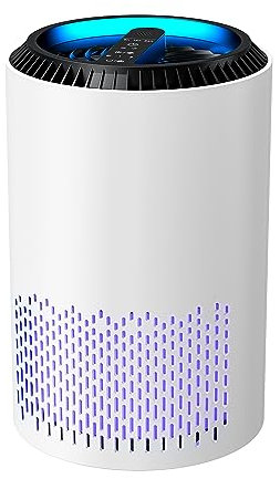 Purificatore D' Aria Portatile Air Purifier Con Filtro Hepa H13 22 Watt Elimina Odori Pollini Polvere Con Timer Ideale Per Camera Da Letto Soggiorno Bagno Ufficio Seminterrato 20 Mq Bianco