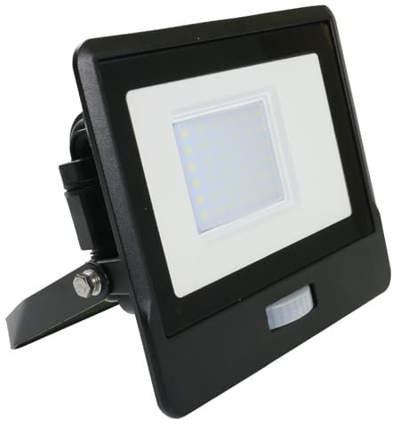 paul russells 30W Outdoor Motion Sensor Security Light – 6500K Daylight White, 3000 Lumen PIR Floodlight, IP65 Waterproof, Ultra-Thin Design, Ideal for Forecourt, Backyard, Garages, Garden and More
