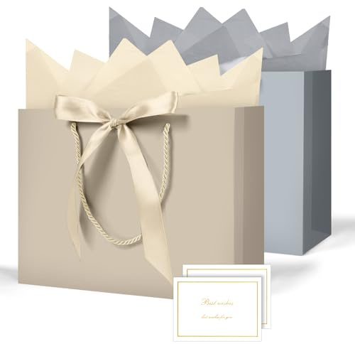 AMFUN Lot de 2 Pochettes Cadeaux avec Anse, Sacs Cadeaux en Papier Avec Ruban d'Arc, Pochettes en Papier avec Anse, Emballage Cadeau pour Noël, les Anniversaires, Mariages, Fête(Or champagne+Gris)