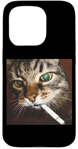 Funny CAT Meme X Katze Meme Cats Memes. Lustiges Katzen Hülle für iPhone 15 Pro