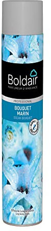 BOLDAIR - Aérosols parfumants Bouquet Marin - Destructeur d'odeurs - Parfume agréablement - Forte rémanence - Pulvérisation sèche - 750 ml - Fabrication française