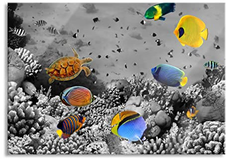 Pixxprint Glasbild, Wandbild aus Echtglas, Fische im Korallenriff, 60x40 cm, inkl. Aufhängung und Abstandshalter