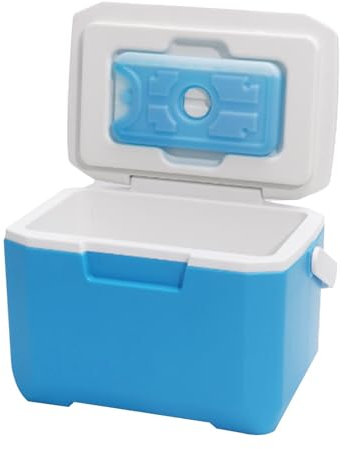Glacière plus chaude – Glacière rigide 6 L avec poignée, petite glacière rigide | Refroidisseur extérieur de réfrigérateur de voiture avec sac de glace, boîte de réfrigération pour la plage, talonnage