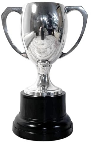 Elegant 20cm Silver Trophy Cup for celebrating achievements, ideal award for sports, competitions & ceremonies