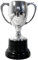 Elegant 20cm Silver Trophy Cup for celebrating achievements, ideal award for sports, competitions & ceremonies