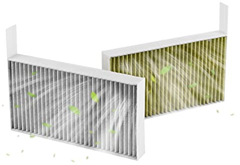 Filtro dell'Aria dell'abitacolo Premium,Sostituzione del Filtro dell'Aria dell'abitacolo, Lavabile, Flusso d'Aria Pulito alla Tua Cabina per Tesla Model 3 Model Y 2019-202 per Il passeggero dell'auto