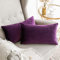 MIULEE 2er Set SAMT Kissenbezug Kissenhülle Dekorative Dekokissen mit Verstecktem Reißverschluss Sofa Schlafzimmer 12x 20 Inch 30 x 50 cm Aubergine Lila