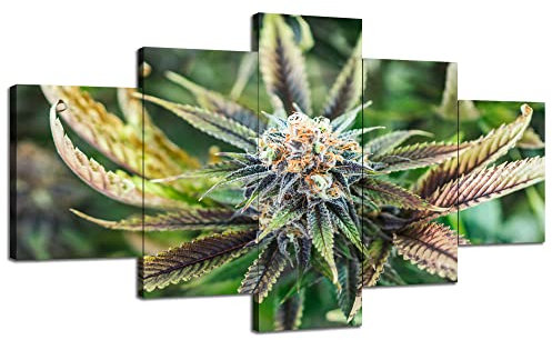 Marijuana Closeup Wall Decor Painting Cannabis Wall Art Pictures 5 Piece Printed on Canvas Plant Poster Painted Framed Living Room Decoration Ready to Hang(60''Wx32''H)