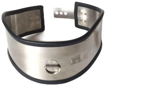 RIVILA Edelstahl Bondage Sex Halsband, Slave Halsbänder Fesseln Halsfessel Fetisch Halskette Halsreif mit Schloss Sexspielzeuge für Frauen Mann, Silikon Schutz,Sliver-Ø12cm