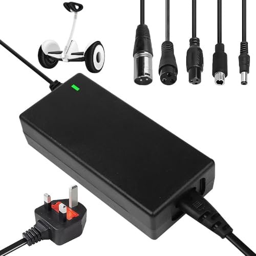 ZOYDP 29.4V 2A Electric Scooter Charger, Electric Scooter Charger for 24V Lithium Battery, with 5 Connections, 29.4V 2A Lithium Battery Power Supply Charger for Balance Bike, Electric Scooter