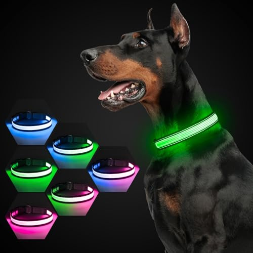 YFbrite Leuchthalsband Hund Aufladbar Nylon LED Hundehalsband Wasserdicht reflektierendes Verstellbar mit 7 Leuchtmodi Sicherheit für Puppy Kleine & Große Hunde (Grau, M)
