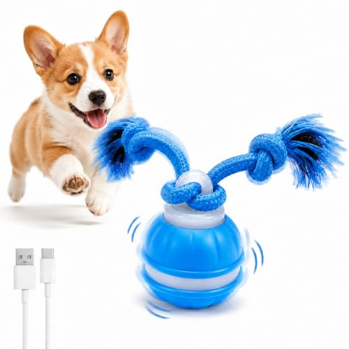 HNCY Interaktives Hundespielzeug, Elektrischer Hundeball USB Aufladbar, Hunde Spielball Elektrisch Mit Kauschnüren, Hundespielzeug Ball Mit Vogelgeräusche, für Kleine Hunde & Welpen (Blau)