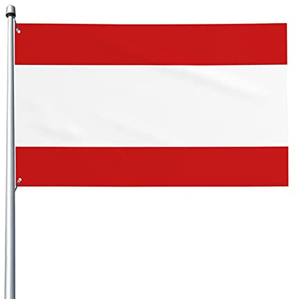 Drapeau de Tahiti drapeau 3x5 pieds Patio jardin pelouse bienvenue décoration bannière intérieur maison fête drapeaux