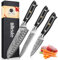 Home Safety 3er Damastmesser Set - Damast Kochmesserset mit Klingenlängen von 8.2 cm bis 17.6 cm aus 67 Schichten Damaszenerstahl mit G10-Griff - Scharf & Ausbalanciert