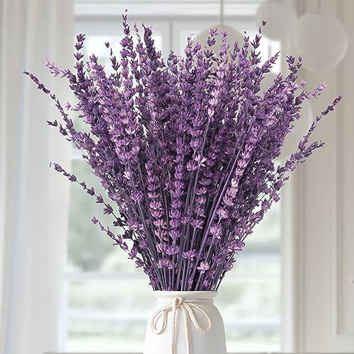 Glicrili Dried Lavender Flowers Real Stems Purple Bouquet for Vase Decor