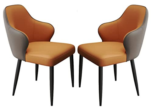 RENYUEH Esszimmerstühle, Küchen-Esszimmerstühle, 2er-Set, Ledersessel mit Stuhlbeinen aus Kohlenstoffstahl und Metall für Zuhause, gewerbliche Restaurants